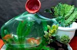Аквариум с фонтаном из бутылки своими руками