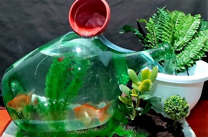 Аквариум с фонтаном из бутылки своими руками