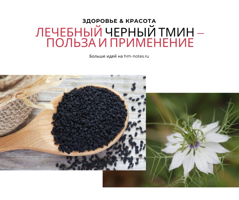 Лечебный черный тмин — польза и применение